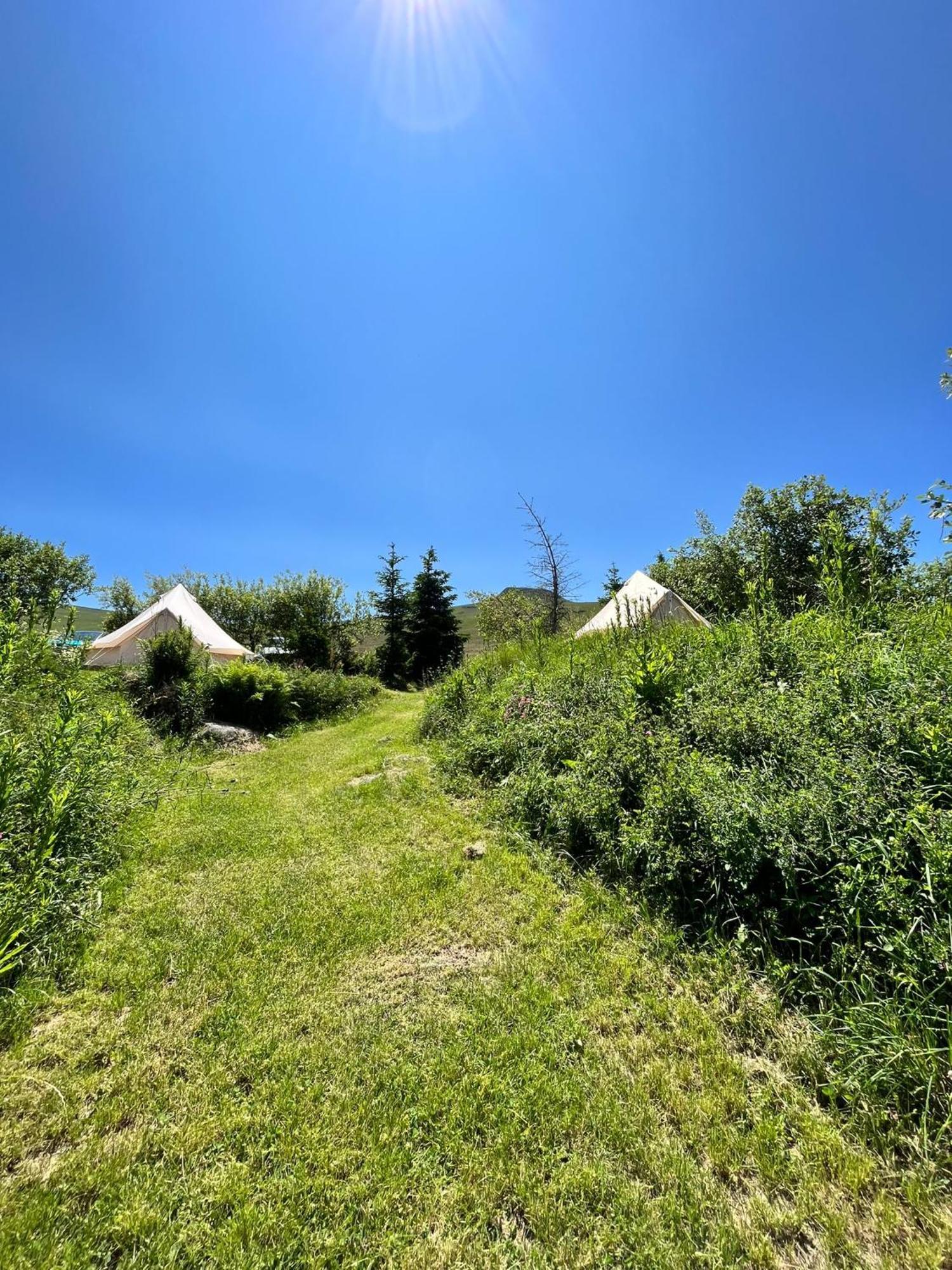 Отель Refuge De La Banne Murat-le-Quaire Экстерьер фото
